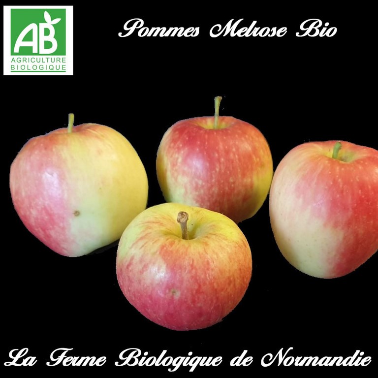 Pommes bio Melrose
