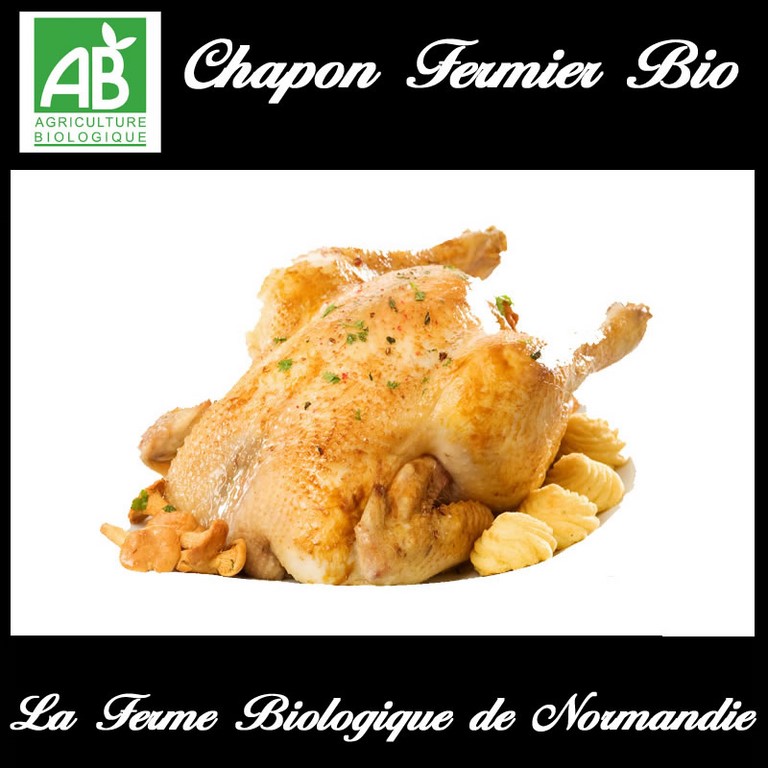 Chapon fermier bio en direct du producteur