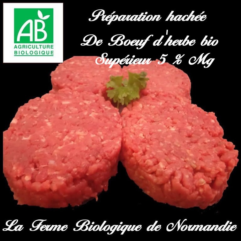 Préparation hachée boeuf bio 2 steaks 250g