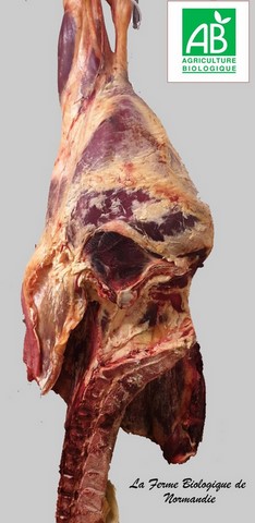 viande en carcasse de boeuf bio 
